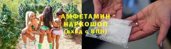 молекула духа Заволжье