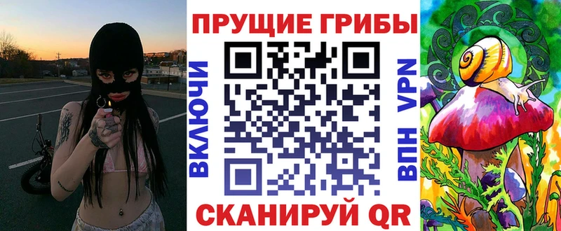 omg вход  Сольвычегодск  Псилоцибиновые грибы GOLDEN TEACHER  цены  